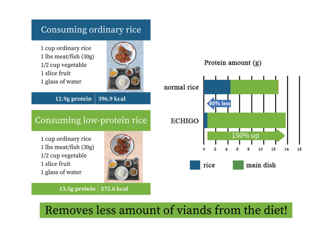 Echigo - Protein-Reduced Rice for CKD - BiotechJP